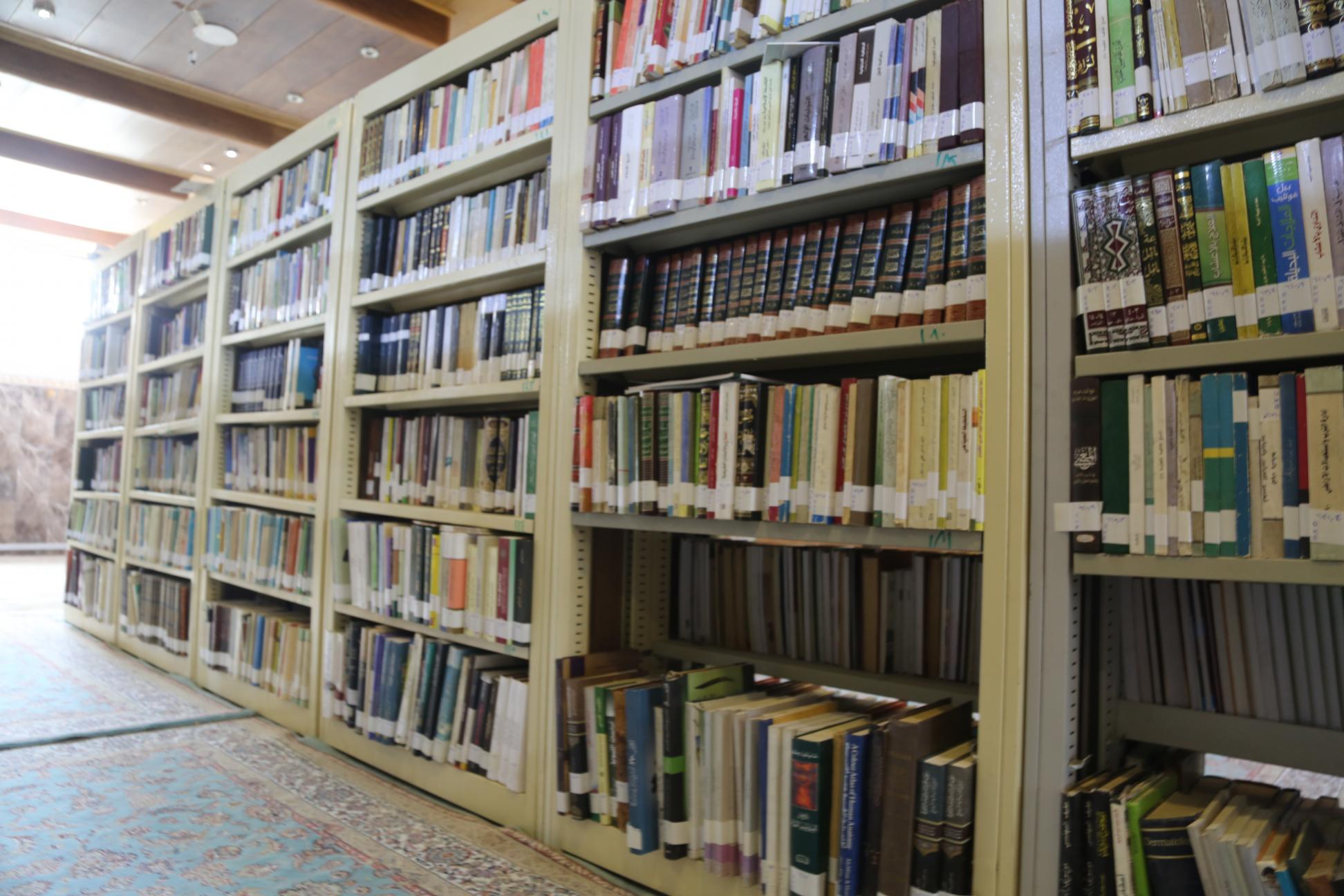 صورة إضافية