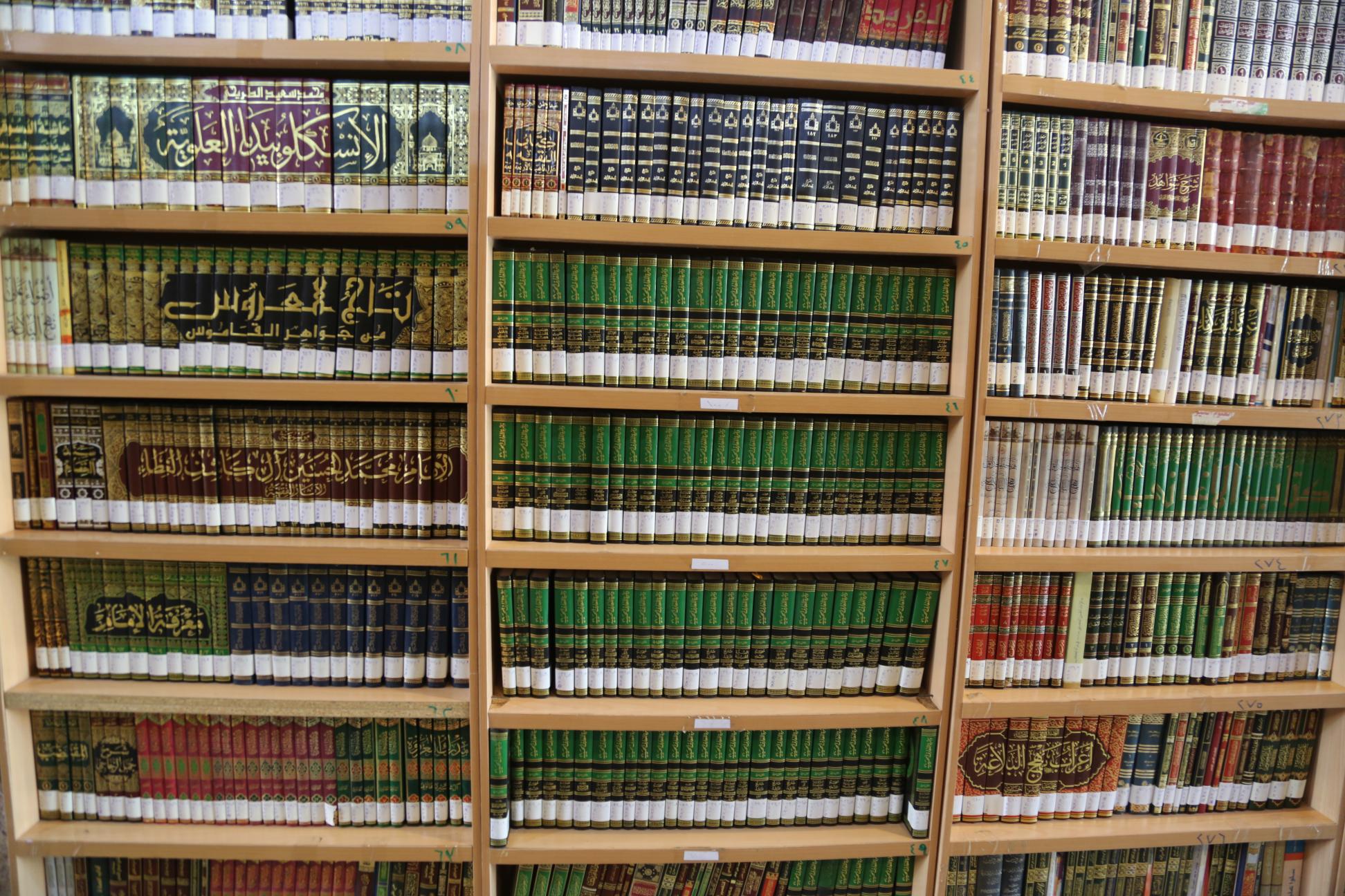 صورة إضافية