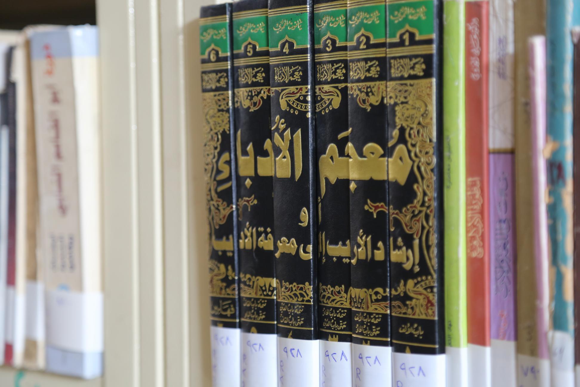 صورة إضافية