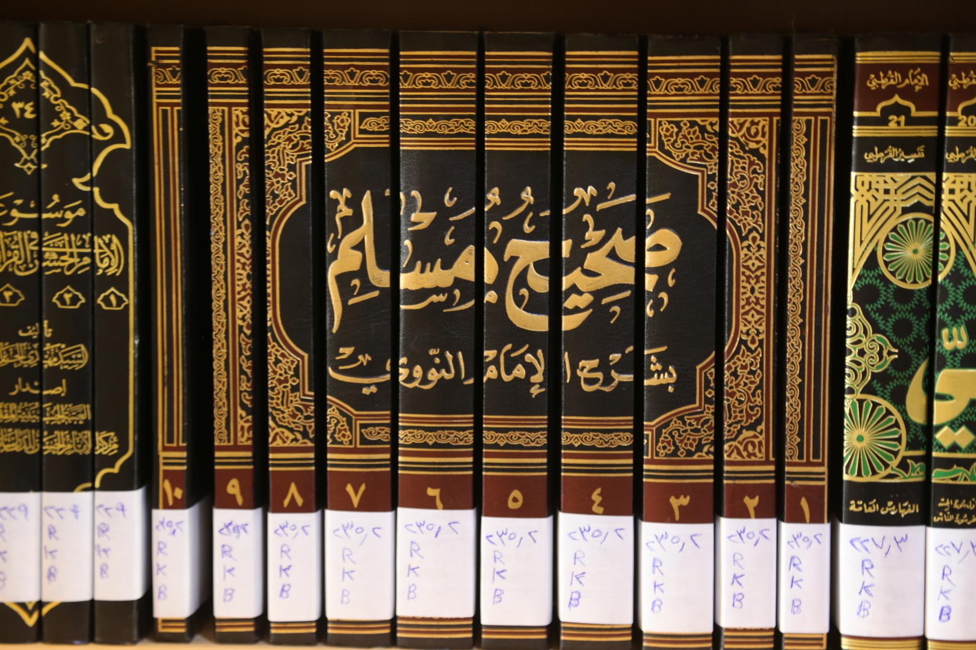 صورة إضافية