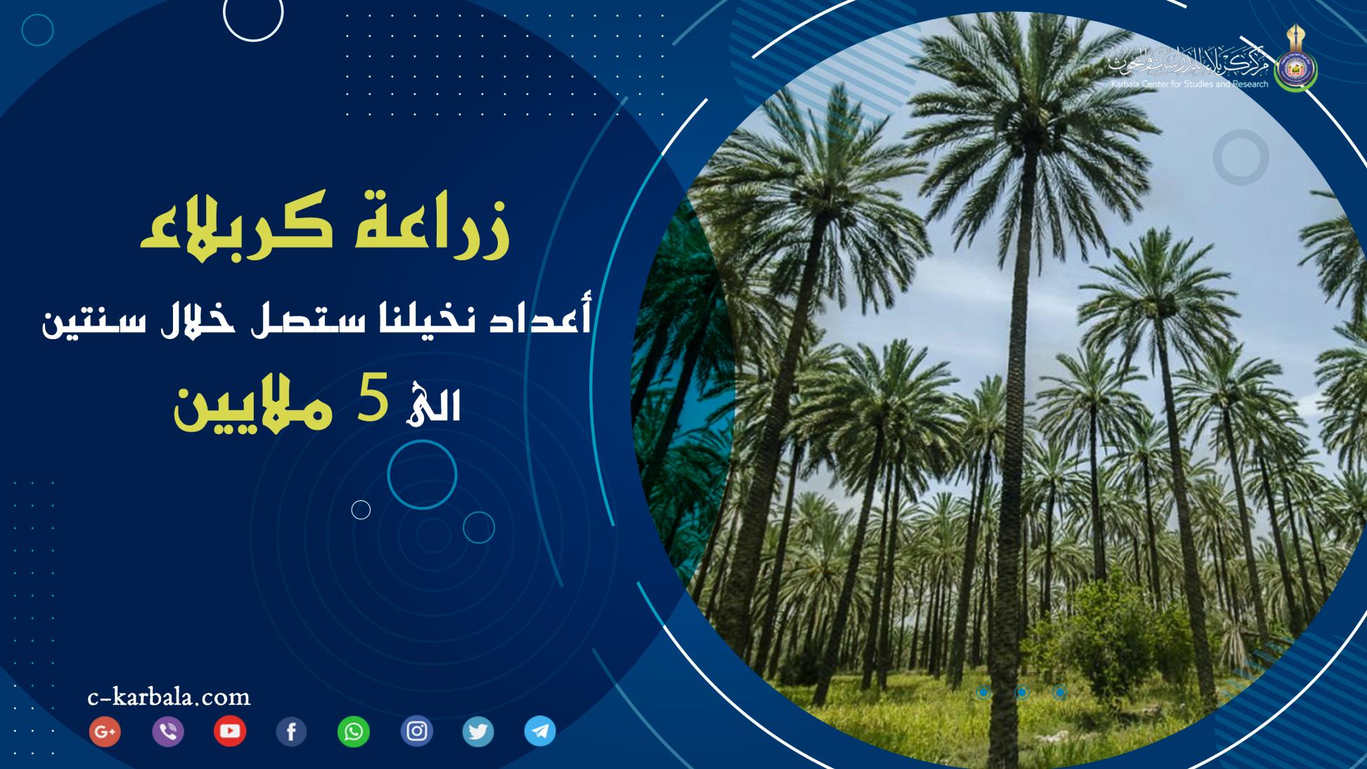 زراعة كربلاء: أعداد نخيلنا ستصل خلال سنتين الى 5 ملايين