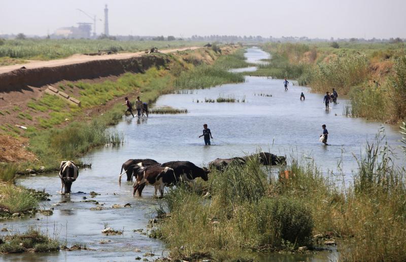 من بينها كربلاء .. 6 محافظات ستعتمد على المياه الجوفية في الزراعة