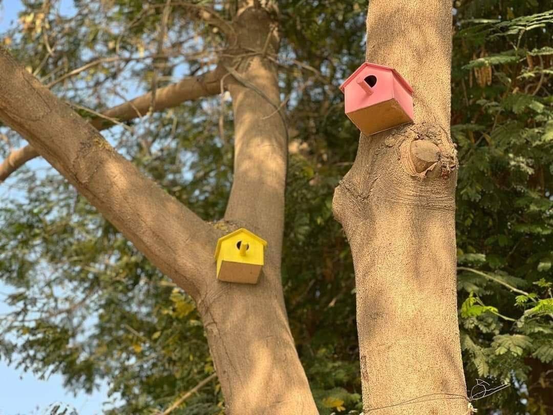 صورة إضافية