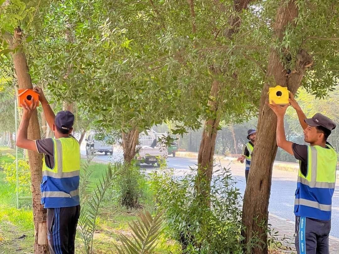صورة إضافية