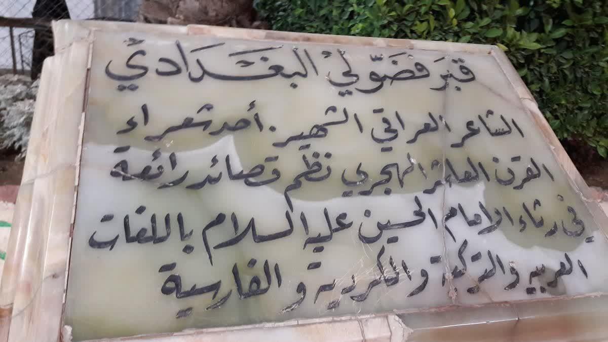 صورة إضافية