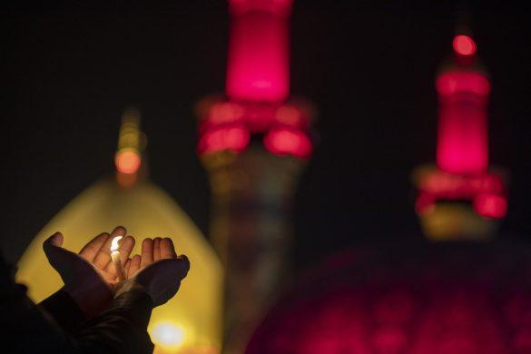 صورة إضافية