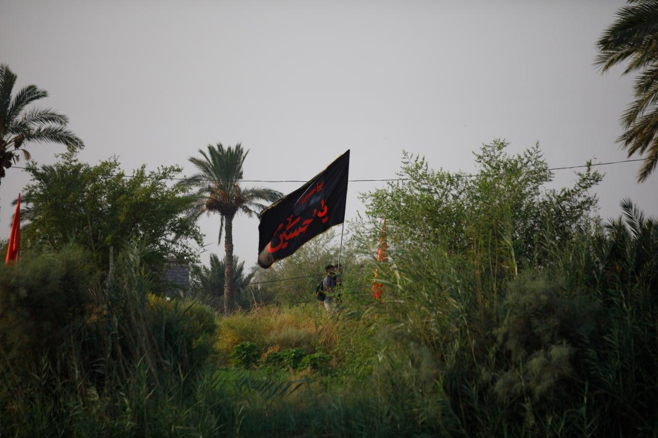 صورة إضافية