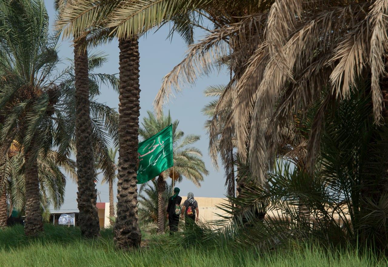 صورة إضافية