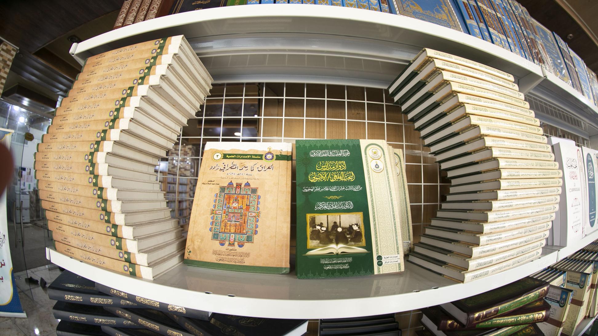صورة إضافية