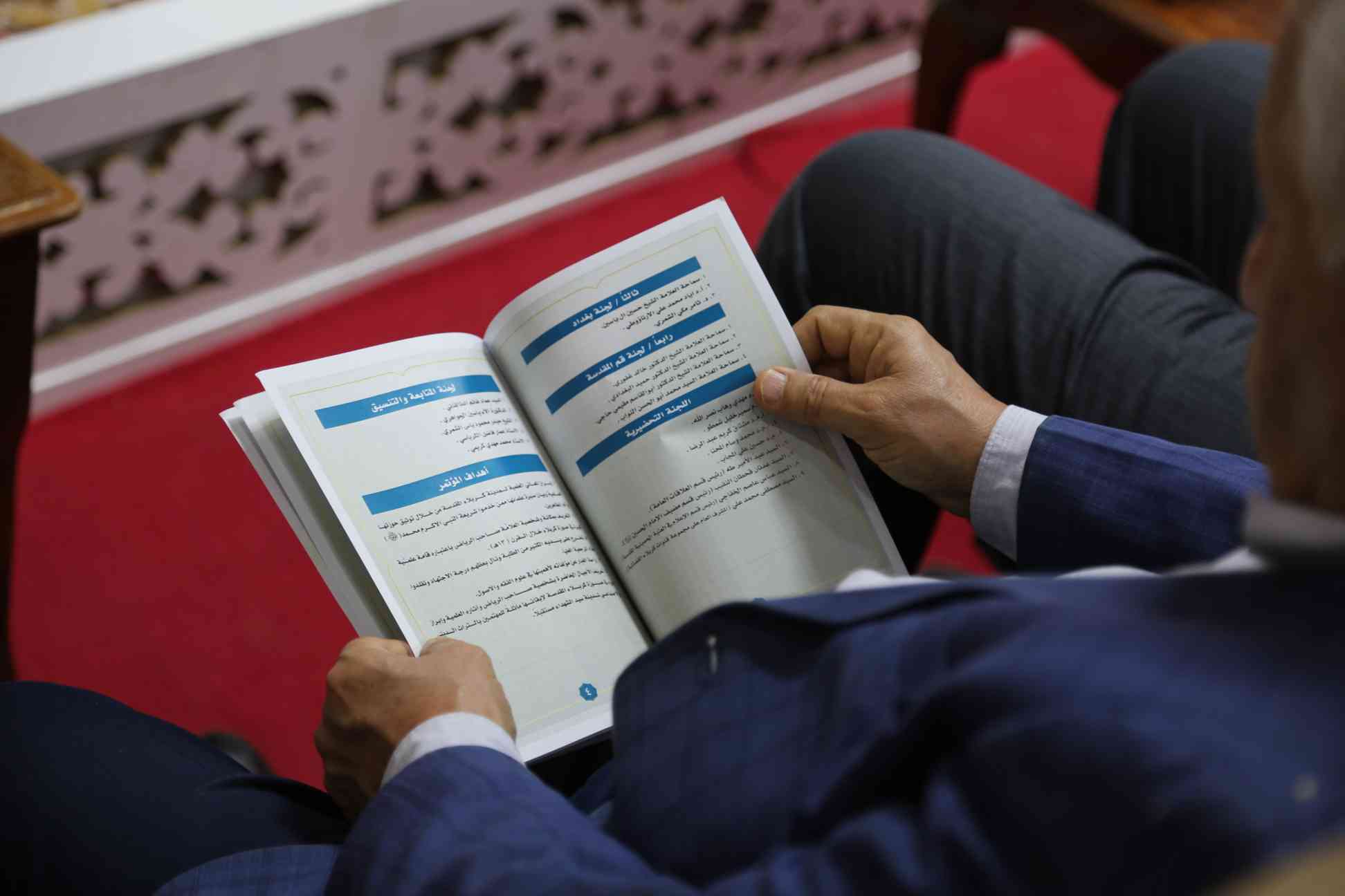 صورة إضافية