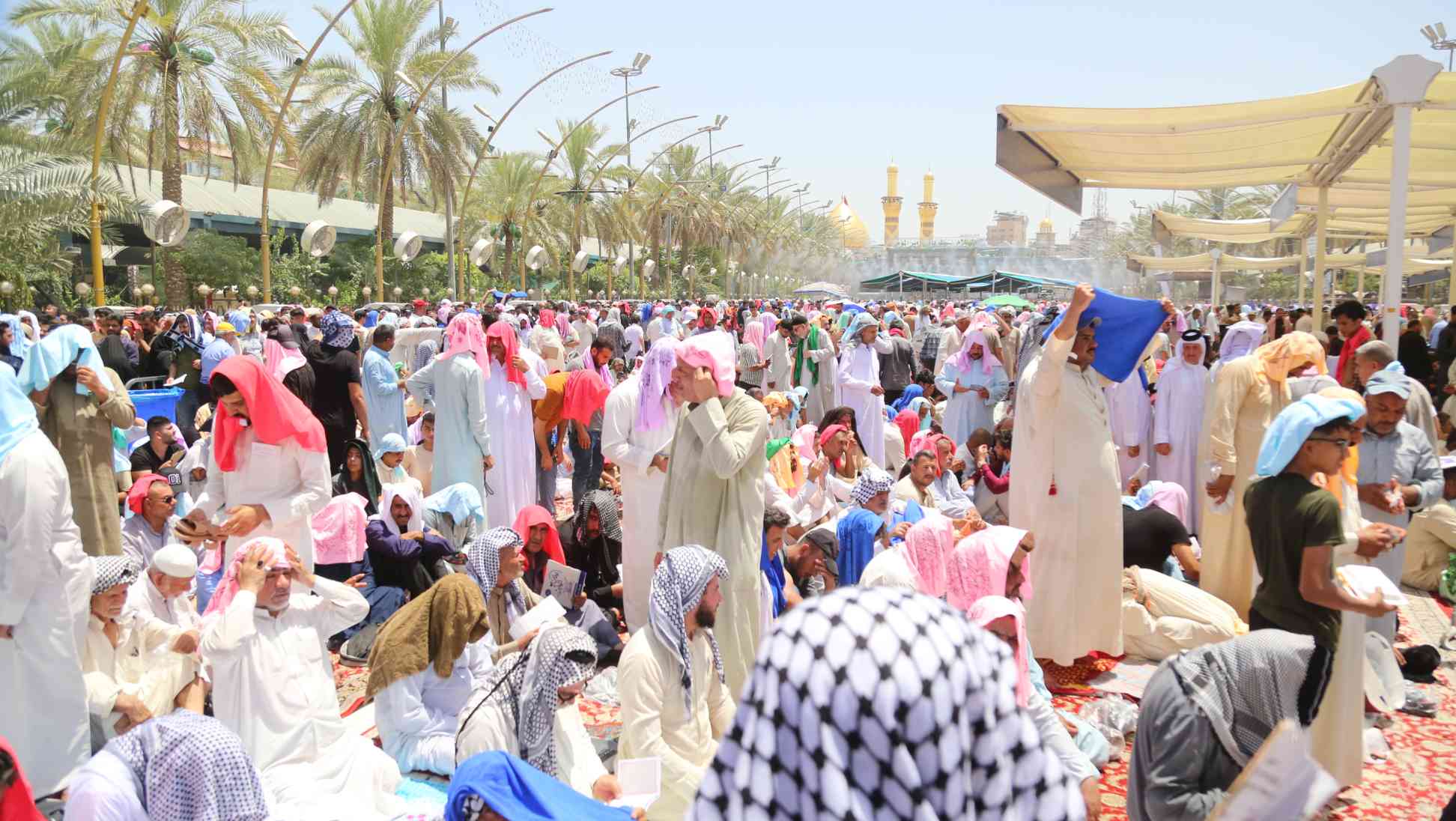 صورة إضافية