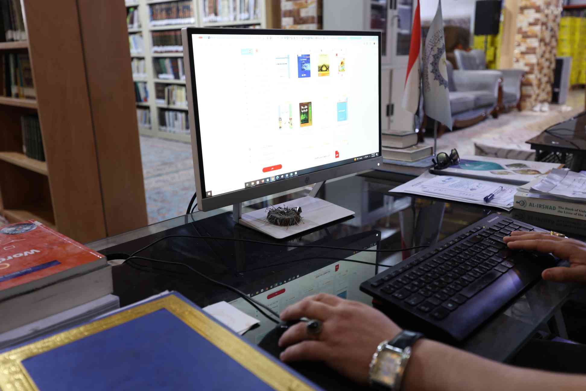 صورة إضافية
