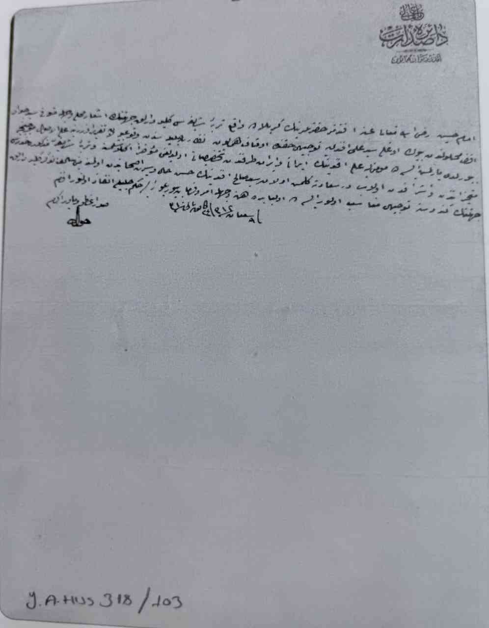 صورة إضافية