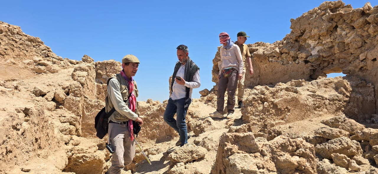 صورة إضافية