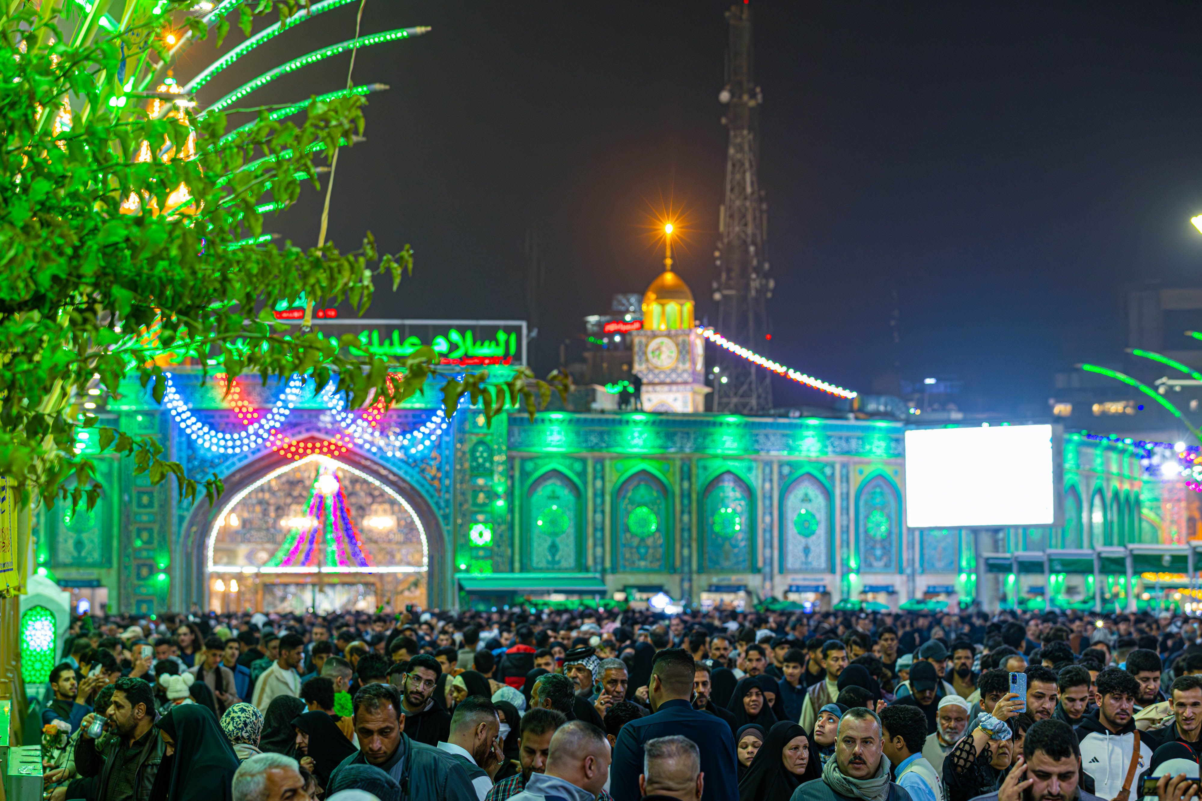 صورة إضافية