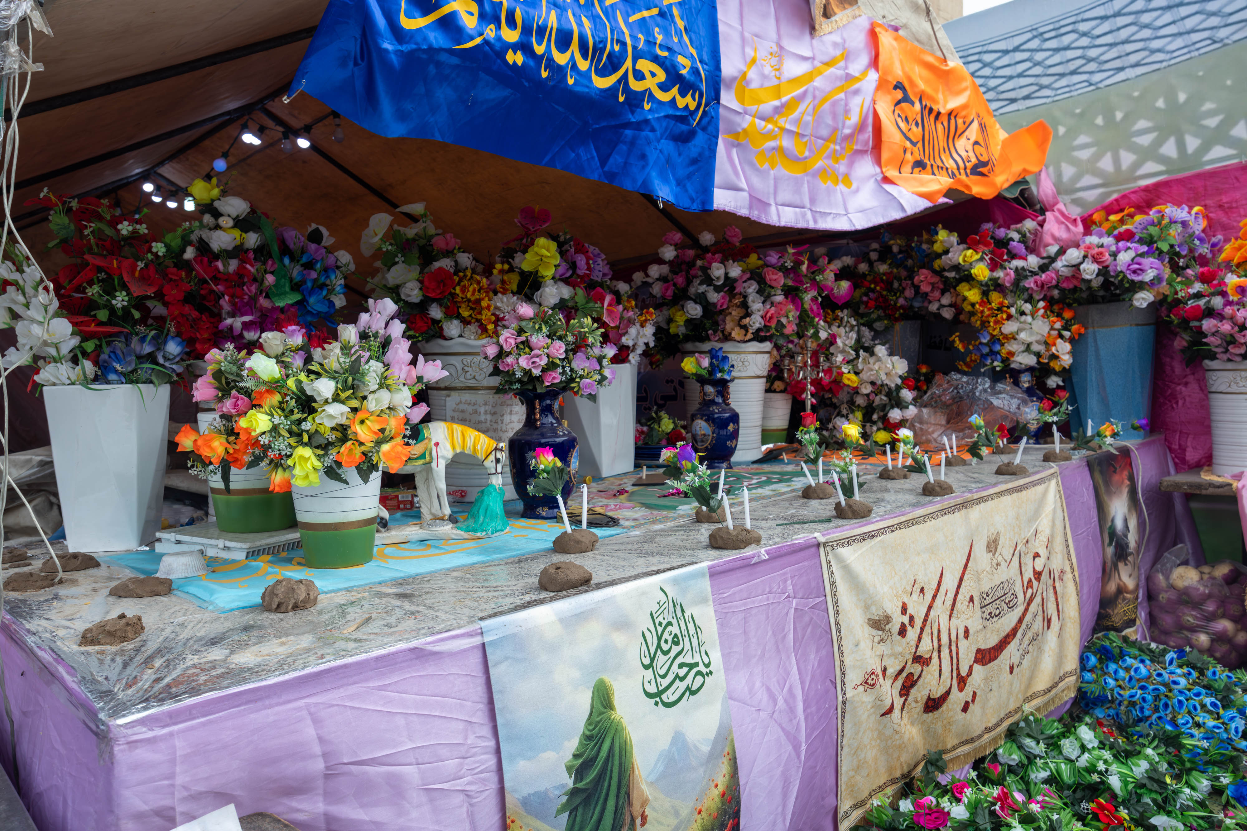 صورة إضافية